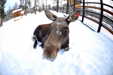 Similar image 21491759