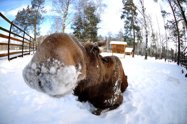 Similar image 21491761