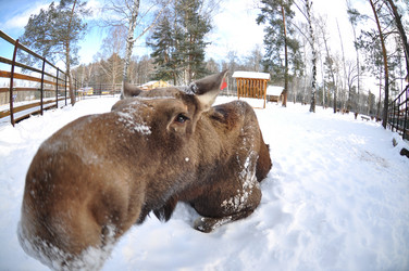 Similar image 21495237