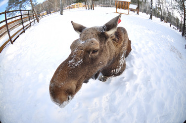 Similar image 21504291