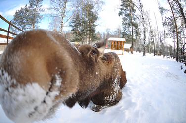 Similar image 21502452