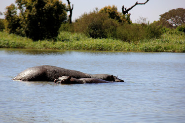 Similar image 21502458