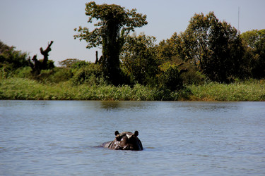 Similar image 21502460