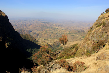 Similar image 21502461