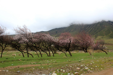 Similar image 21502886