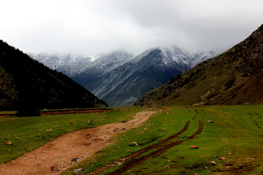 Similar image 21502894