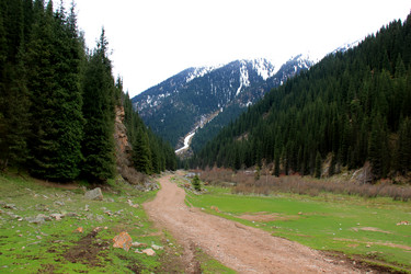 Similar image 21503280