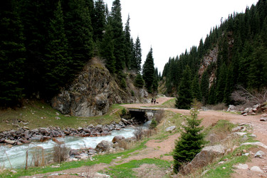 Similar image 21503282