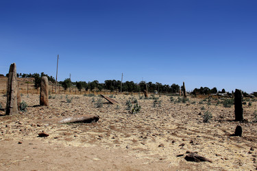 Similar image 21503715