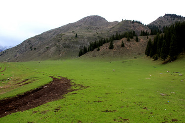 Similar image 21503716