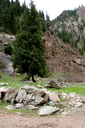 Similar image 21503718