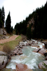 Similar image 21503720