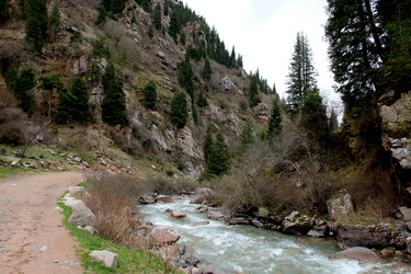 Similar image 21503913