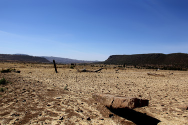 Similar image 21504002