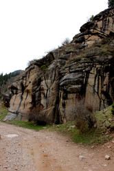 Similar image 21504003