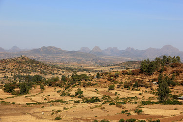 Similar image 21504004