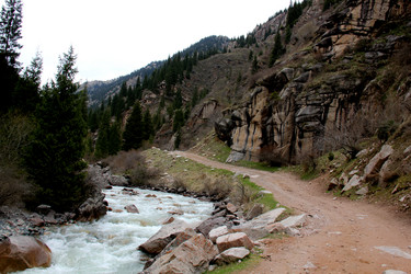 Similar image 21504005