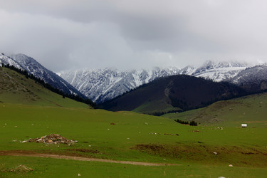 Similar image 21504006