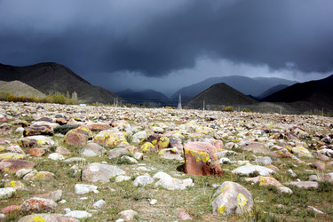 Similar image 21489120