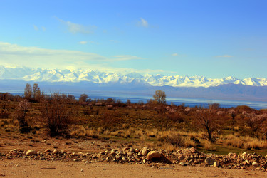 Similar image 21489126