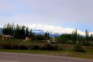 Similar image 21489537