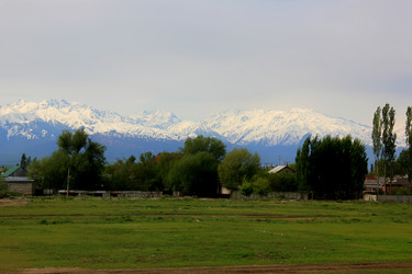 Similar image 21489538