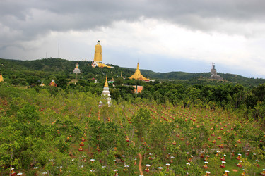 Similar image 21504204