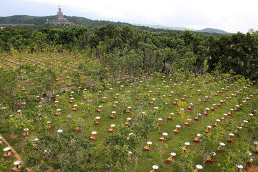 Similar image 21504293