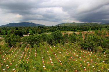 Similar image 21502833