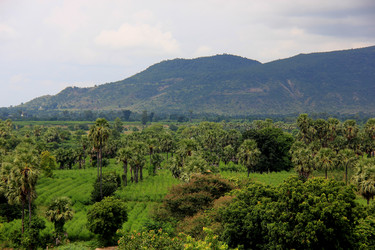 Similar image 21502896