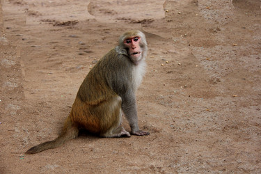 Similar image 21502902