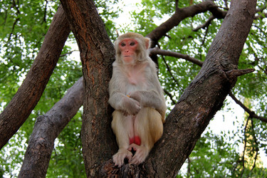 Similar image 21502911