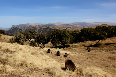 Similar image 21489708