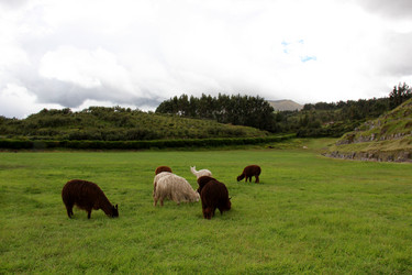 Similar image 21489711