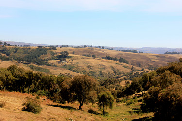 Similar image 21489714