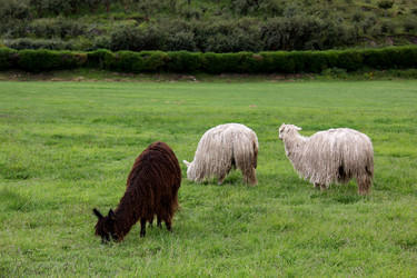 Similar image 21489715