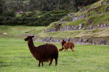 Similar image 21489718