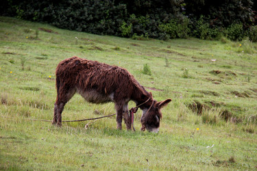 Similar image 21491810