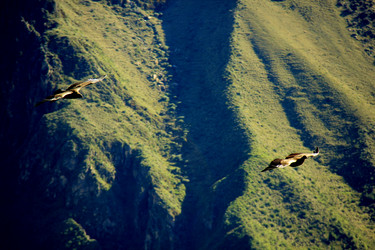 Similar image 21491811