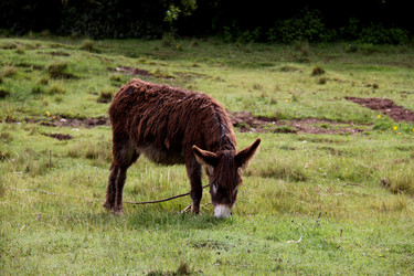 Similar image 21491812