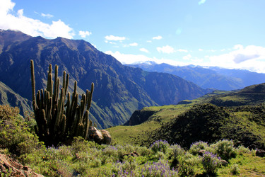 Similar image 21491813