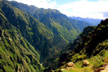 Similar image 21491816