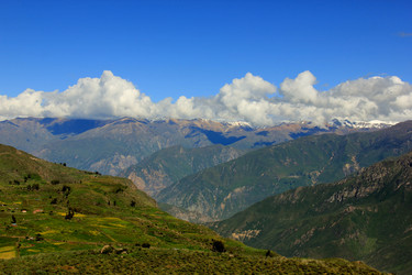 Similar image 21491818