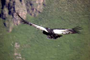 Similar image 21491820