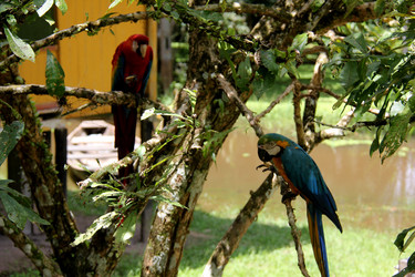 Similar image 21491822