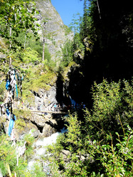 Similar image 21491823