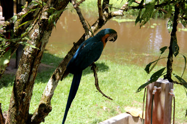 Similar image 21491824