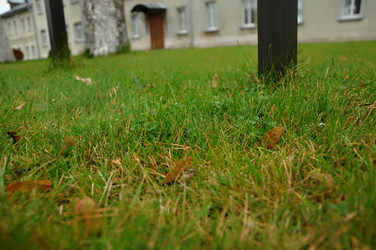 Similar image 21502470