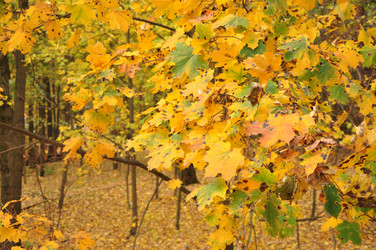 Similar image 21503310