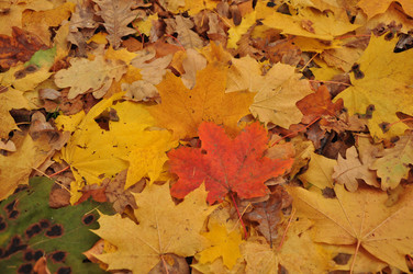 Similar image 21503313